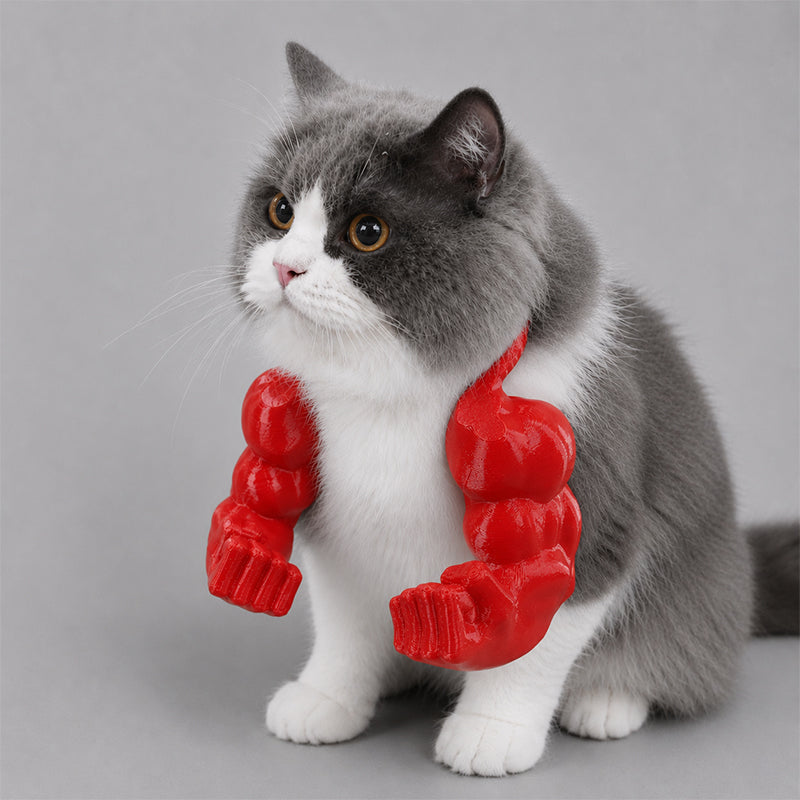 3D printed parody pet props Hulk arm with a halter neck💪