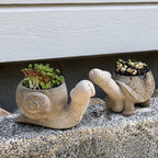 🐢Fun garden planting pots