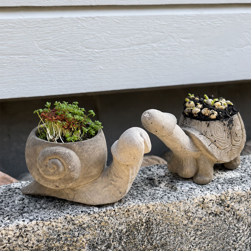 🐢Fun garden planting pots