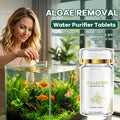 Algae Removal Water Purifier Tablets for Green & Moss Cleaning 💧🌿✨