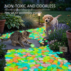 💥Glow-in-the-dark Rocks: illuminate your exterior with an enchanting glow!