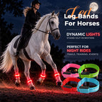 🐎 LED Horse Leg Bands | Evening Riding Safety Glow Vibe
