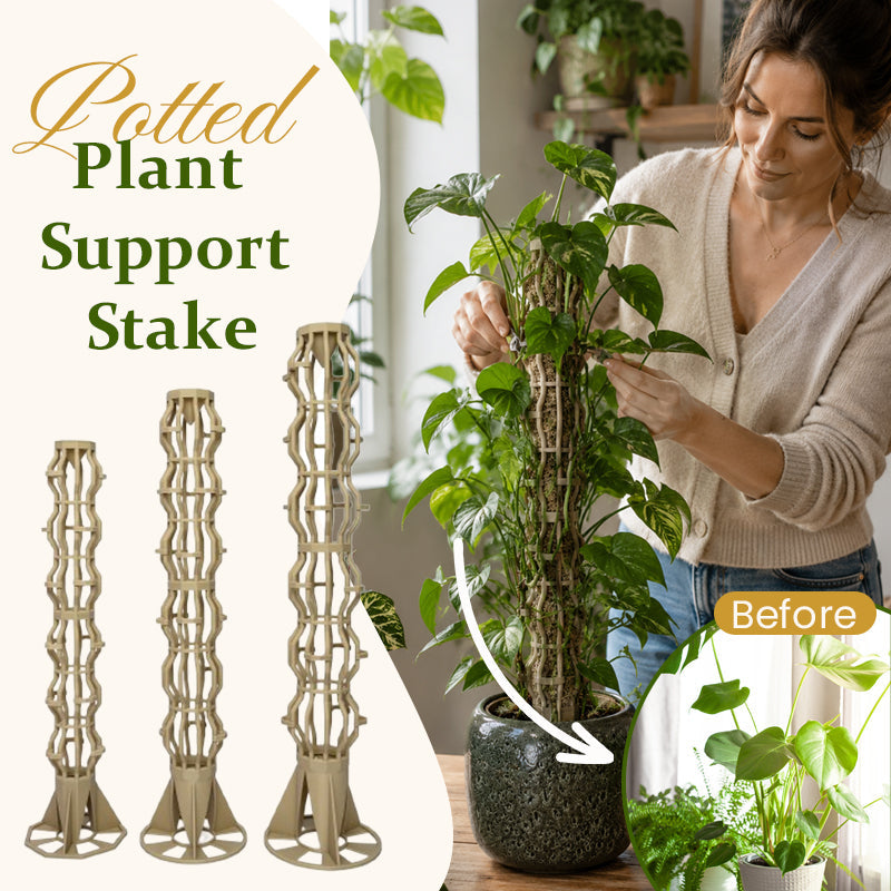 🌿 Handmade Elegant Plant Support Stake for Climbing Aroid Houseplants