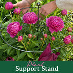 📢📢LAST DAY SALE 50% OFF🌷Plant Support