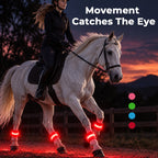 🐎 LED Horse Leg Bands | Evening Riding Safety Glow Vibe