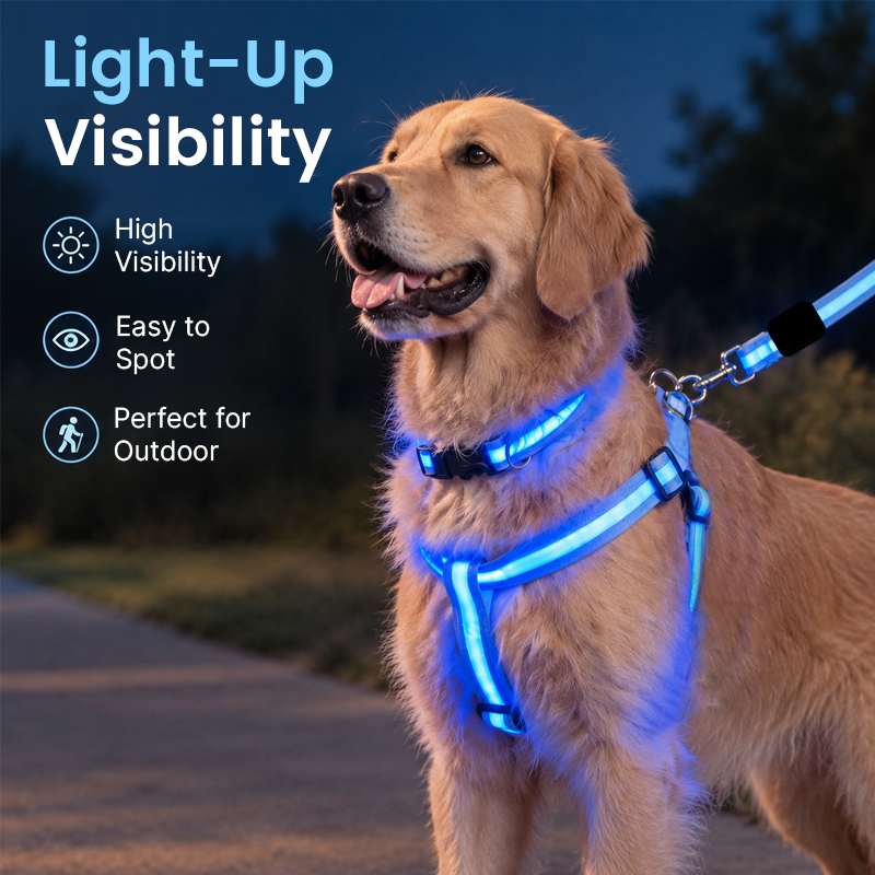 🐕 LED Light-Up Dog Harness & Leash Set – Stylish Glow for Night Walks!