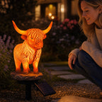 💡🐮 Solar Highland Cow Light