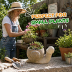 🐢Fun garden planting pots