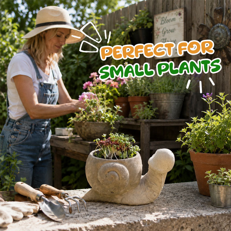 🐢Fun garden planting pots