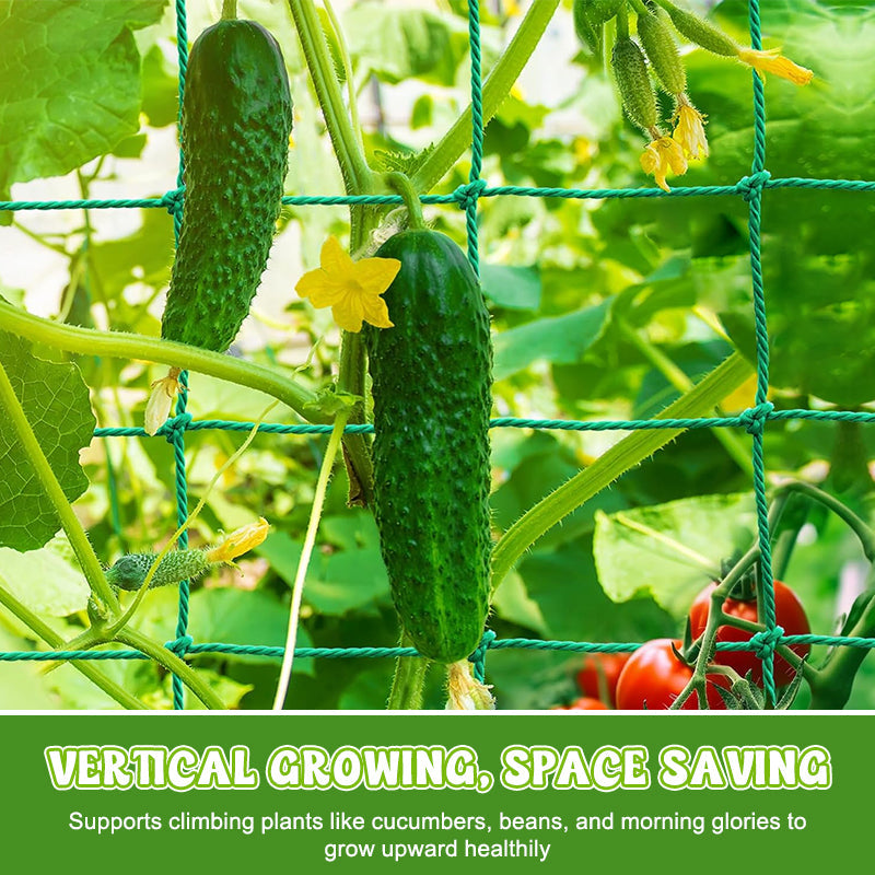 🌿✨ Plant Climbing Net – Let Your Vines Grow Strong & Thriving!