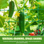 🌿✨ Plant Climbing Net – Let Your Vines Grow Strong & Thriving!