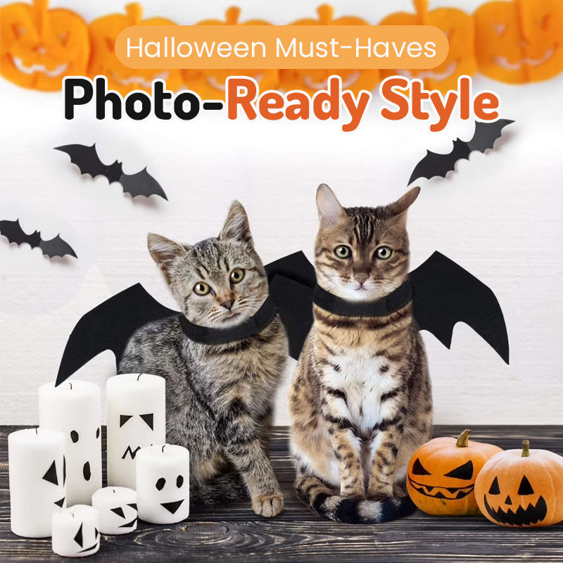 🦇 Halloween Bat‑Wing Pet Costume, Cute Spooky Wing Outfit for Cat Small‑Dog Holiday Photo Prop