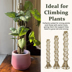 🌿 Handmade Elegant Plant Support Stake for Climbing Aroid Houseplants