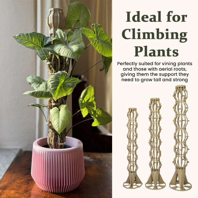 🌿 Handmade Elegant Plant Support Stake for Climbing Aroid Houseplants