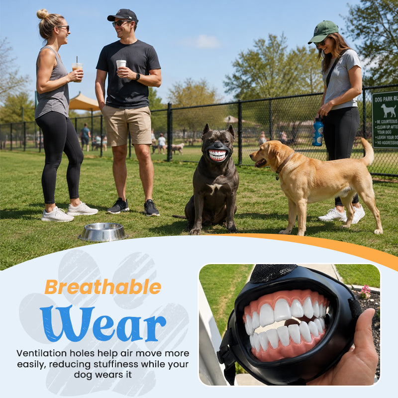 😂 Hilarious Smiling Dog Muzzle｜Viral‑Worthy Pet Photo Accessory