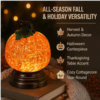 🔥Last Day 50% OFF - 🎃🍂Glitter Lighted Pumpkin Snow Globe