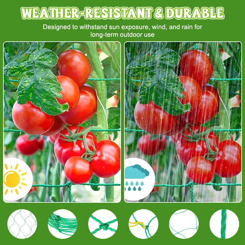 🌿✨ Plant Climbing Net – Let Your Vines Grow Strong & Thriving!
