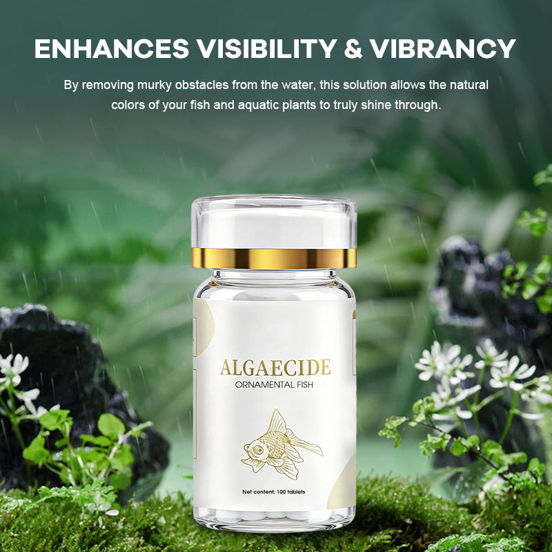 Algae Removal Water Purifier Tablets for Green & Moss Cleaning 💧🌿✨
