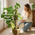 🌿 Handmade Elegant Plant Support Stake for Climbing Aroid Houseplants