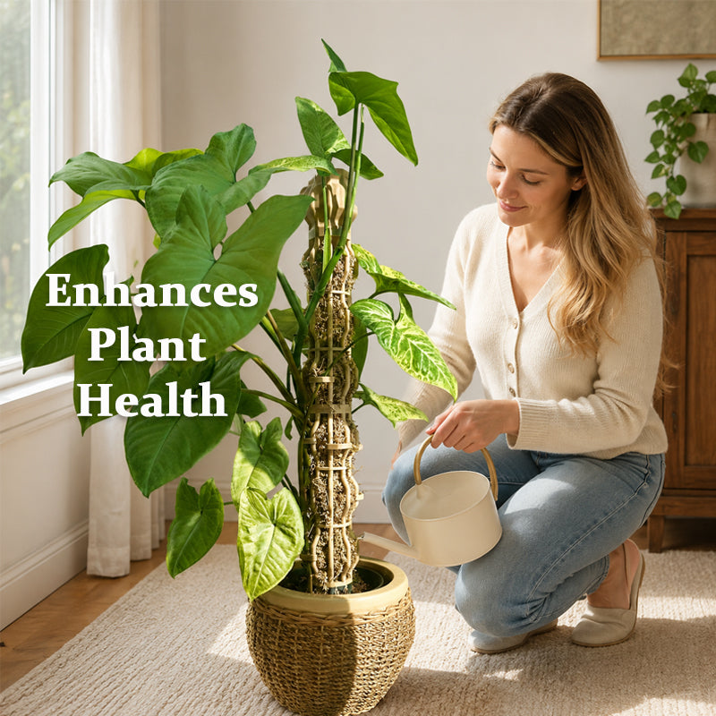 🌿 Handmade Elegant Plant Support Stake for Climbing Aroid Houseplants