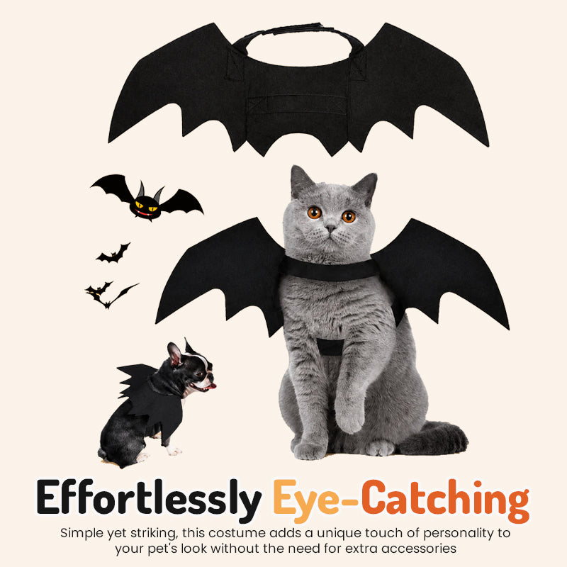 🦇 Halloween Bat‑Wing Pet Costume, Cute Spooky Wing Outfit for Cat Small‑Dog Holiday Photo Prop