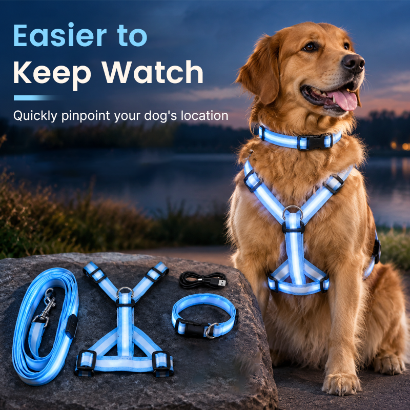🐕 LED Light-Up Dog Harness & Leash Set – Stylish Glow for Night Walks!