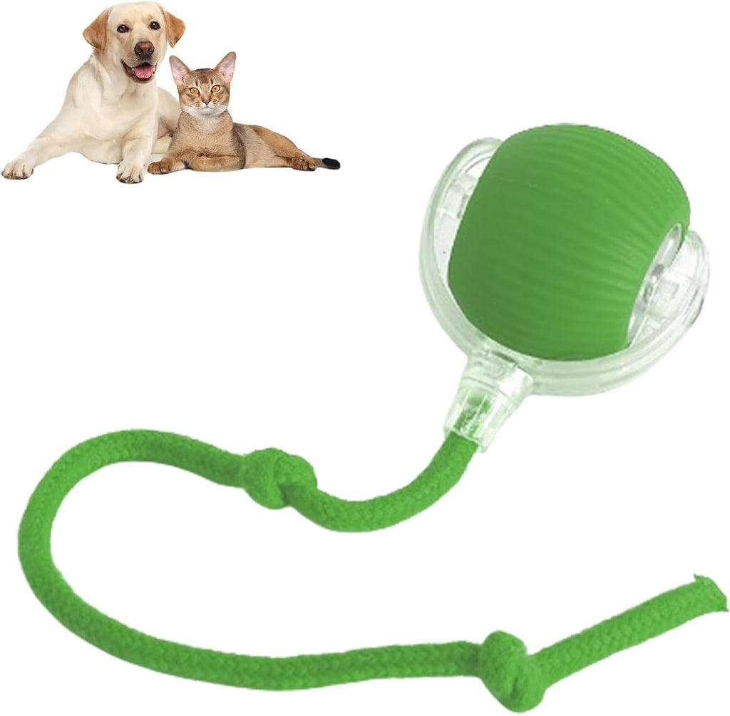 Smart Chasing Pet Toy Ball🐾⚙️