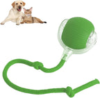 Smart Chasing Pet Toy Ball🐾⚙️
