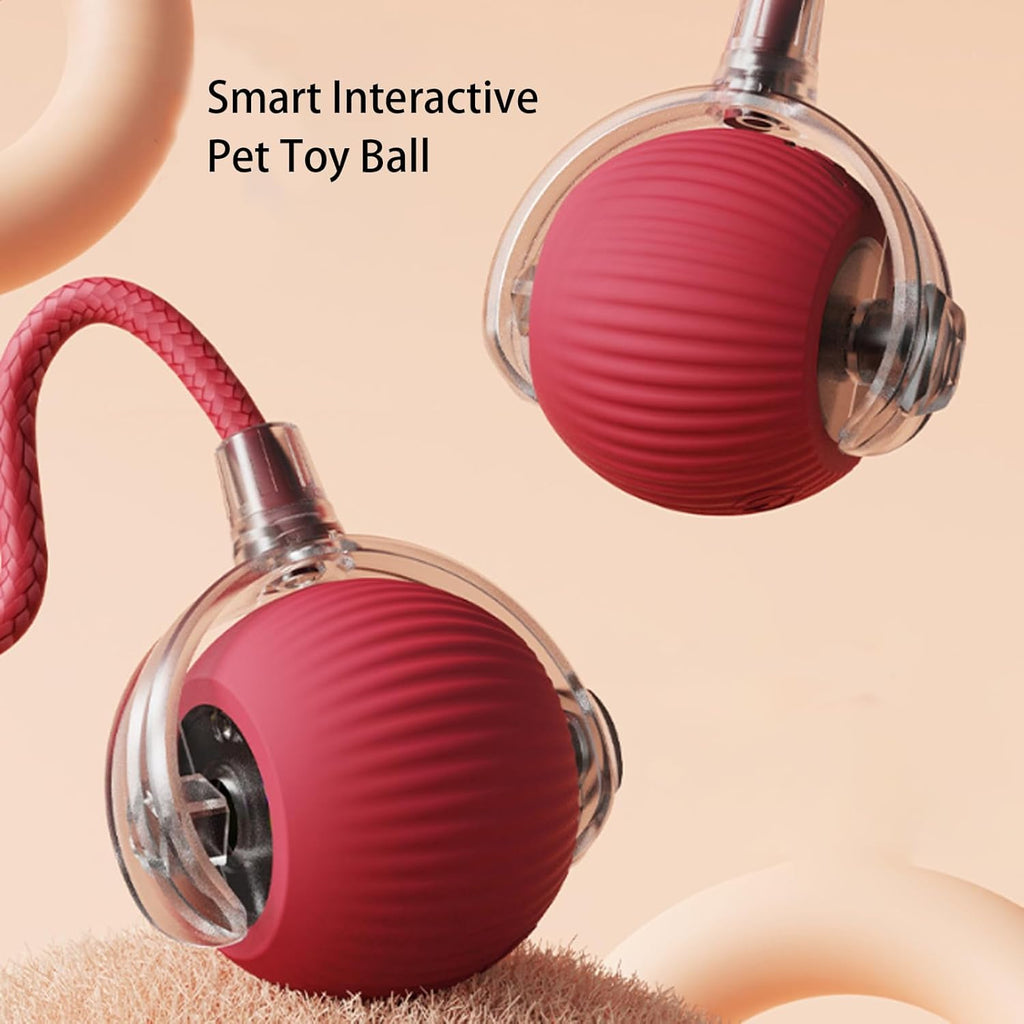 Smart Chasing Pet Toy Ball🐾⚙️