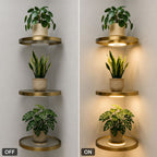 Floating Wall Shelf with Built-in Ambient LED Light💡✨