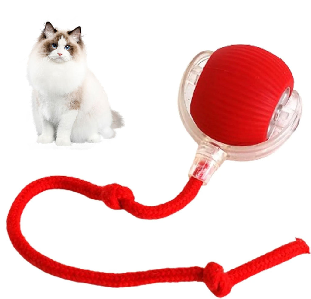Smart Chasing Pet Toy Ball🐾⚙️