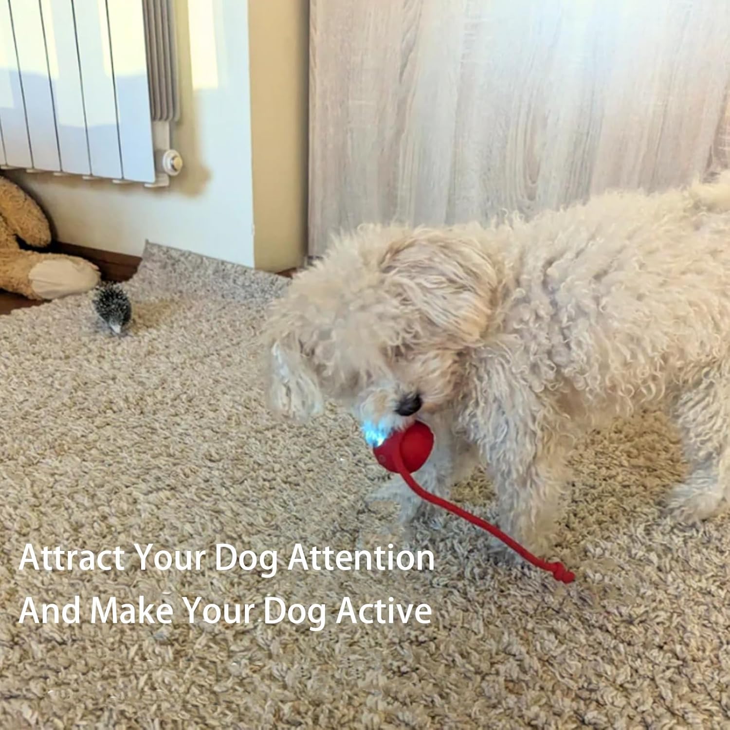 Smart Chasing Pet Toy Ball🐾⚙️