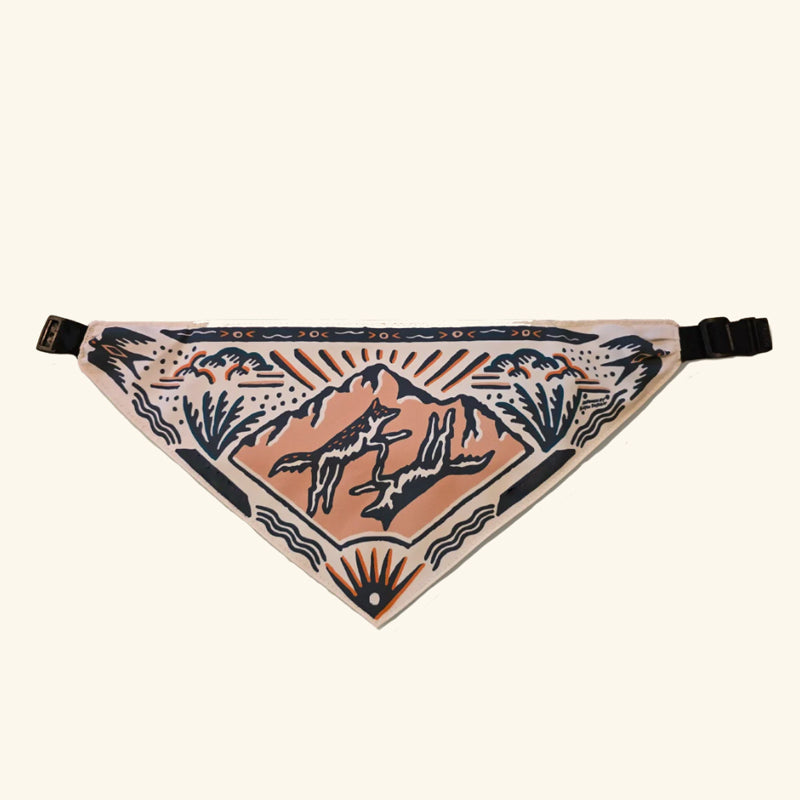🐾Dog Water Bandana