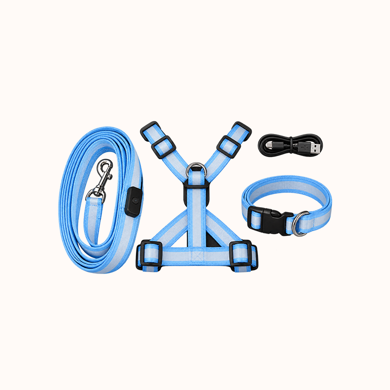 🐕 LED Light-Up Dog Harness & Leash Set – Stylish Glow for Night Walks!