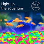 💥Glow-in-the-dark Rocks: illuminate your exterior with an enchanting glow!