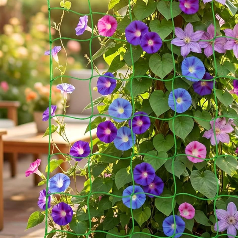 🌿✨ Plant Climbing Net – Let Your Vines Grow Strong & Thriving!