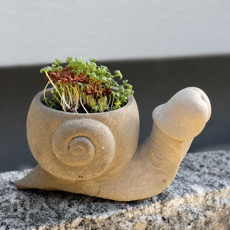 🐢Fun garden planting pots