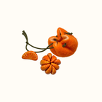 🍊 Fruit Fidget Squeeze | Your Go-To Tiny Desk Break