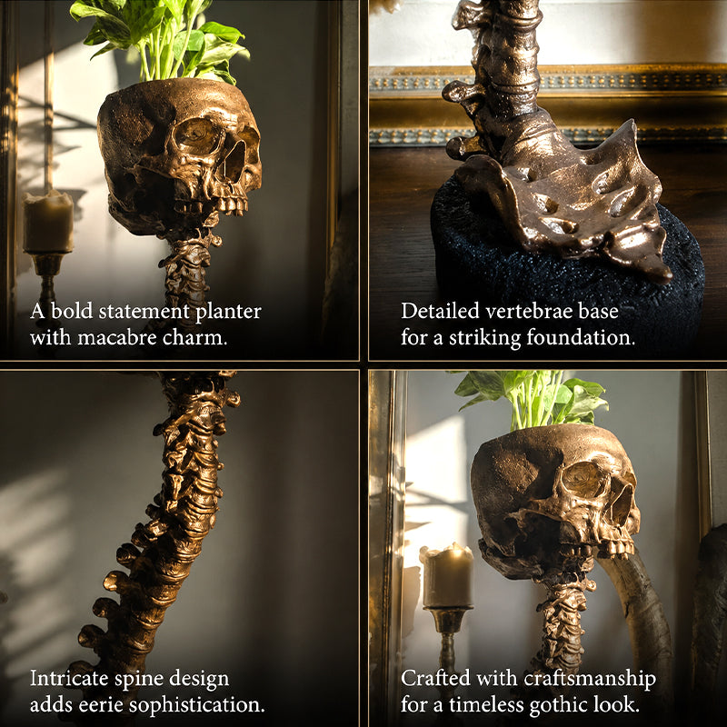 💀🖤Gothic Skull Planter And Skeleton Vase Spooky Home Decor