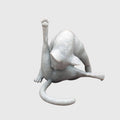 🐱✨ Grooming Cat Decorative Figurine