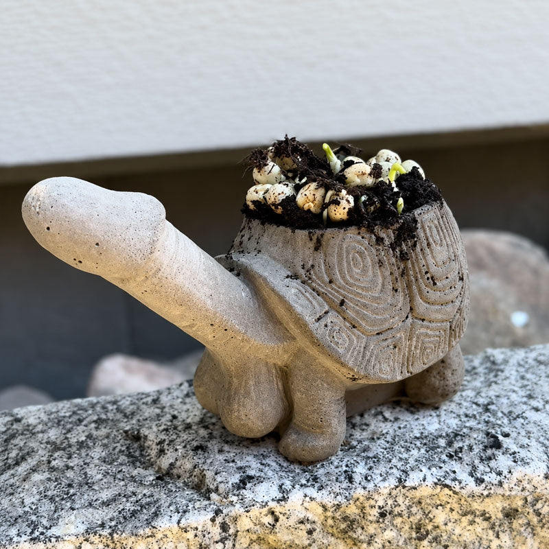🐢Fun garden planting pots
