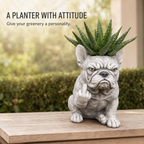 Funny Bulldog Planter with Attitude – 3 Sassy Styles
