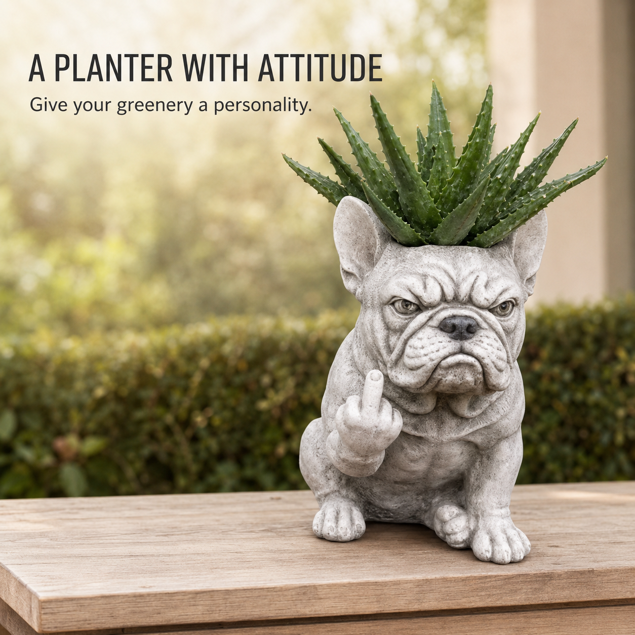 Funny Bulldog Planter with Attitude – 3 Sassy Styles
