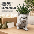 Funny Bulldog Planter with Attitude – 3 Sassy Styles