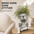 Funny Bulldog Planter with Attitude – 3 Sassy Styles