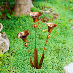 🏡Red-hot copper with bells