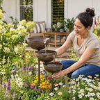 🌧️ Self-filling bird bath using rainwater 🐦 Weatherproof, for outdoor gardens