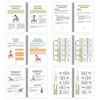 🔥Most Popular in 2026🔥The Complete Guide to Chair Yoga for Seniors: Over 40 Simple Exercises with Light Resistance to Regain Strength, Mobility, and Balance—and Lose Weight