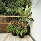 💥Summer Special🔥 UV-resistant artificial ferns & red dragon trees – Full, lush, and colorfast!
