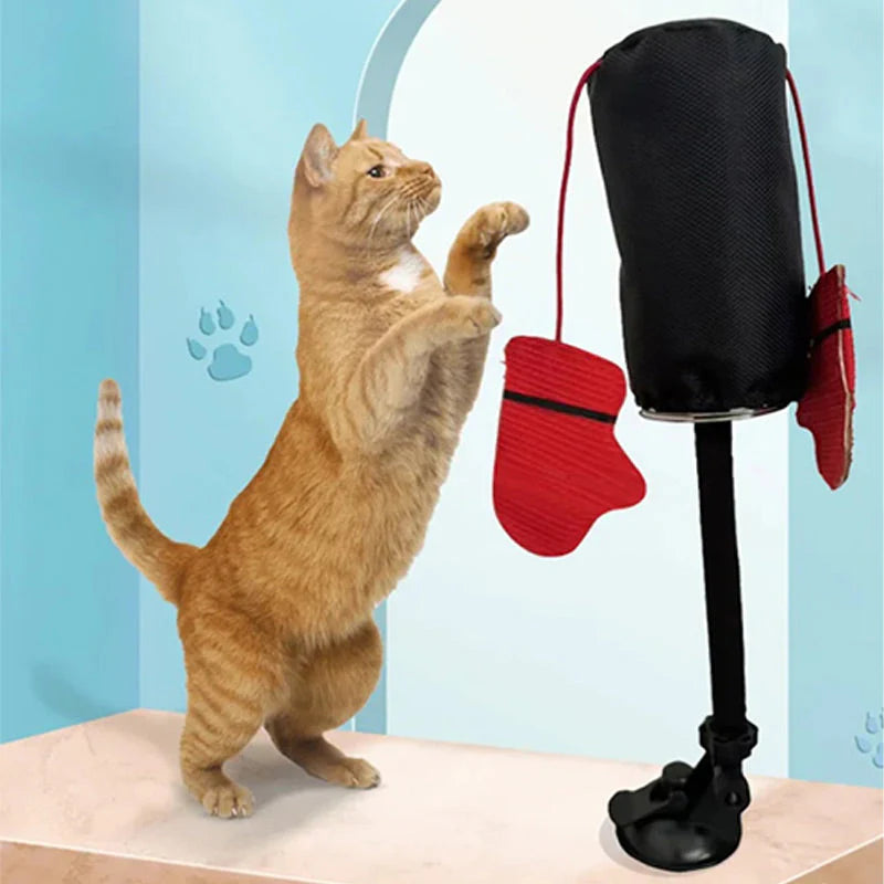 🐾🥊Interactive Boxing Ball Toy for Cats – Stable Indoor Play Toy for Active Cats & Kittens